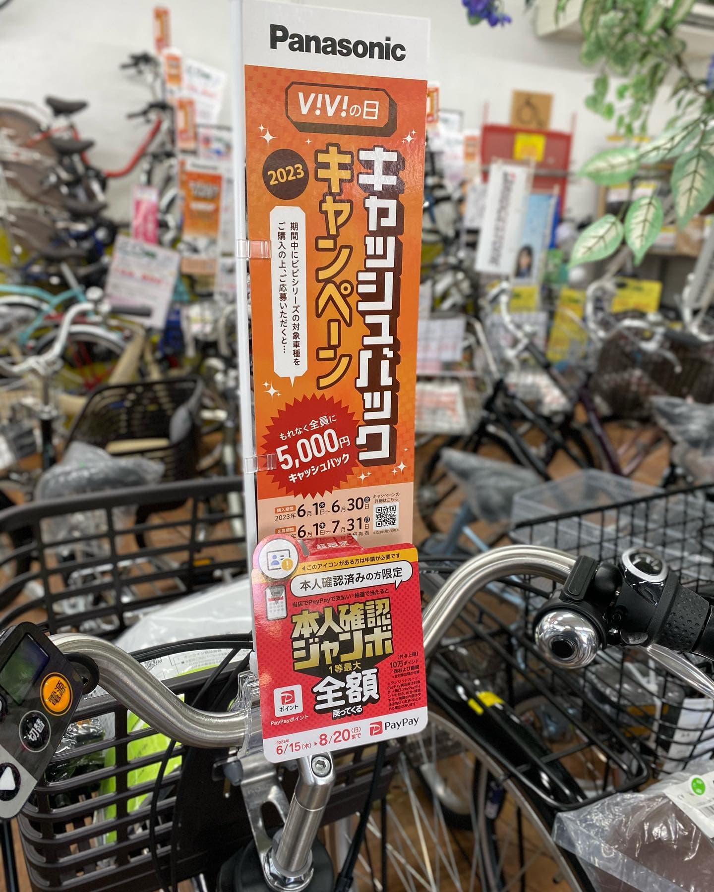 PayPay本人確認ジャンボとキャッシュバック