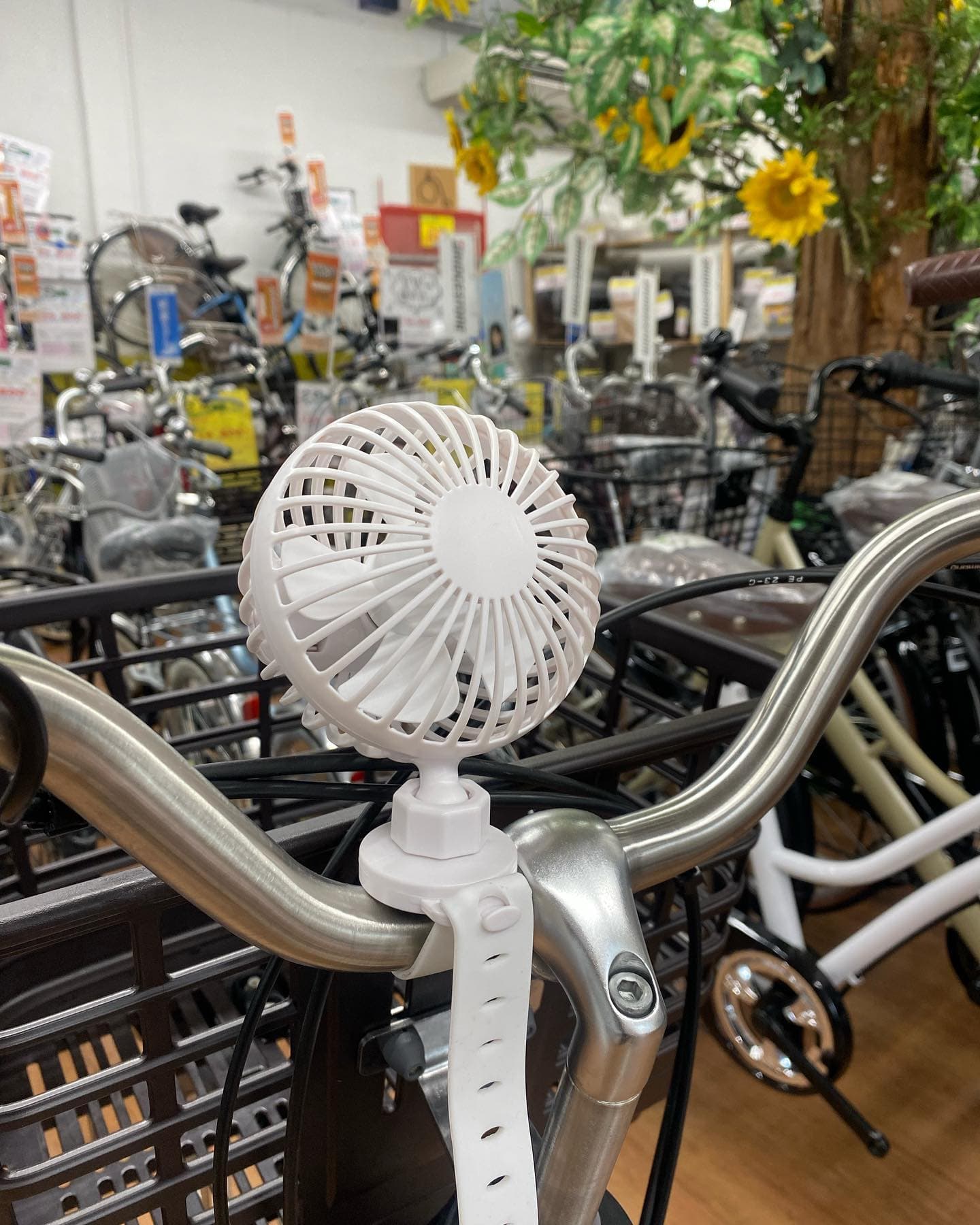サイクリングファン入荷