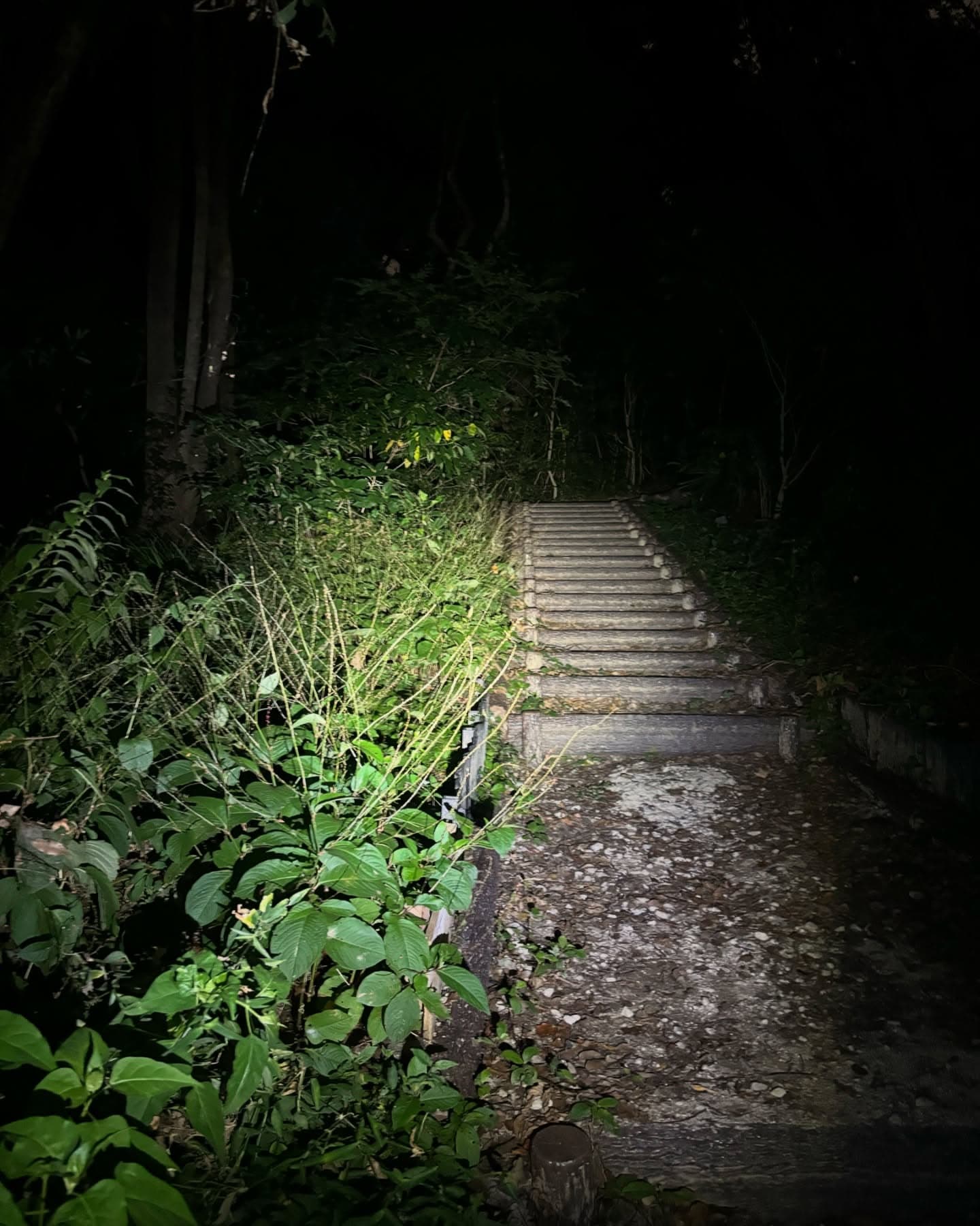 SYNC CORE/ SYNC KINETIC SET サブ画像2