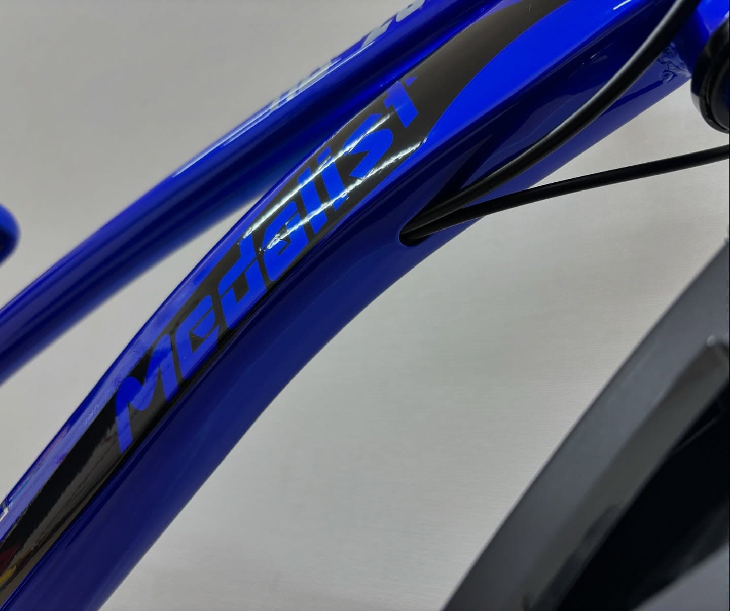 メダリスト サブ画像3