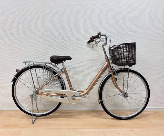 カルーサ メイン画像