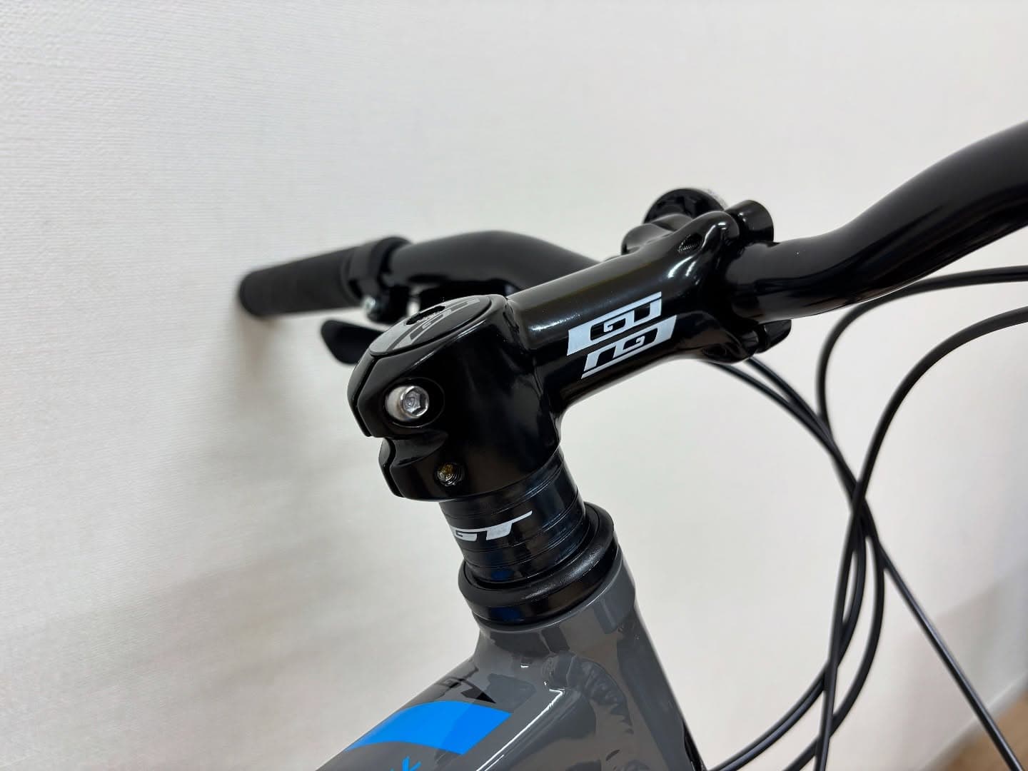 パロマーアロイ L サブ画像6