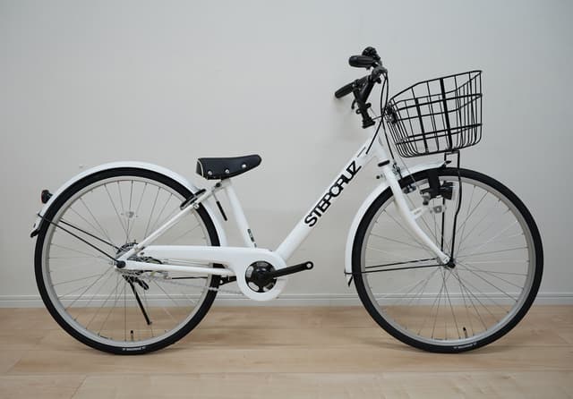 ステップクルーズジュニア メイン画像