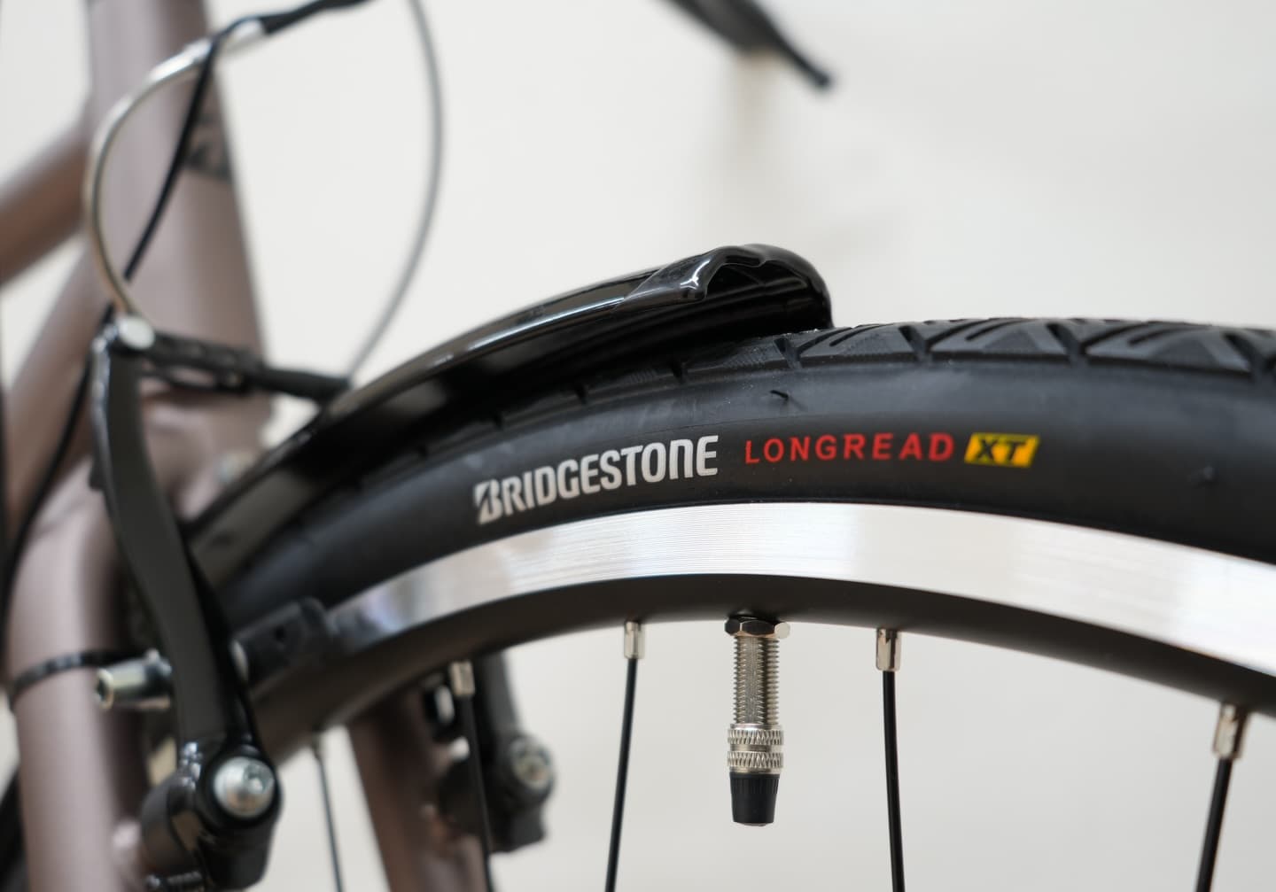 アルベルトスポーツ サブ画像9