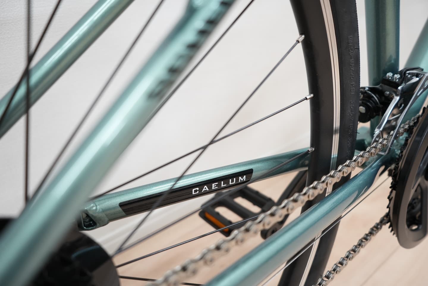 Schecter CAELUM サブ画像3