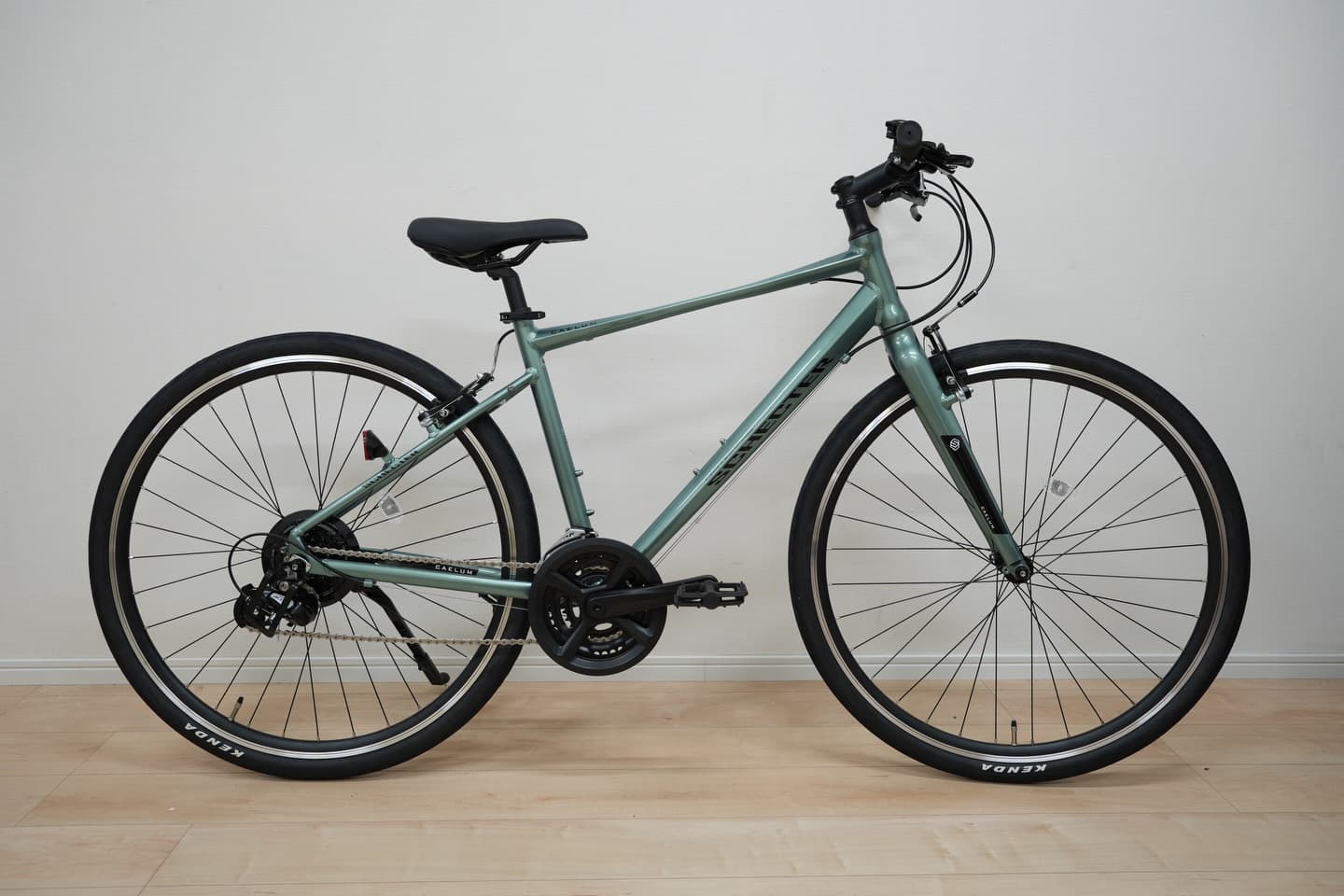 Schecter CAELUM サブ画像1