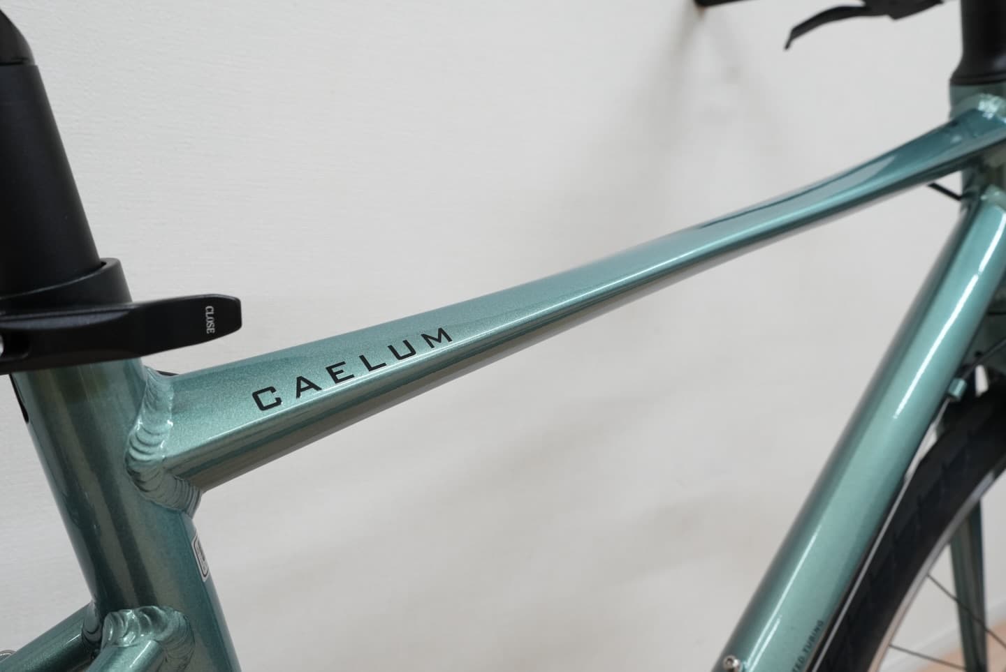 Schecter CAELUM サブ画像5