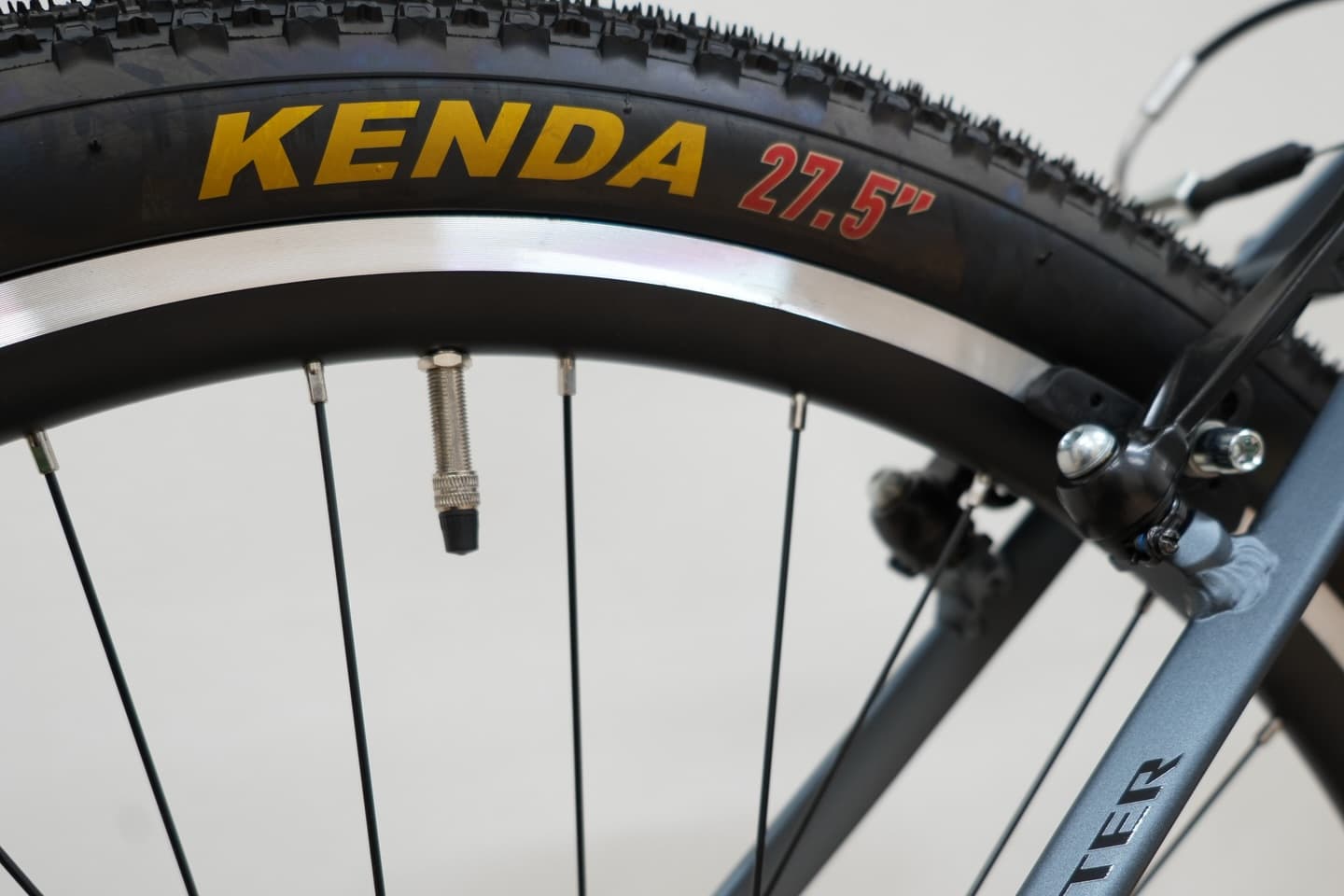 Schecter MONTA サブ画像10