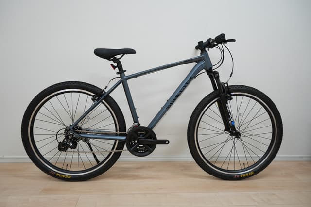 Schecter MONTA メイン画像