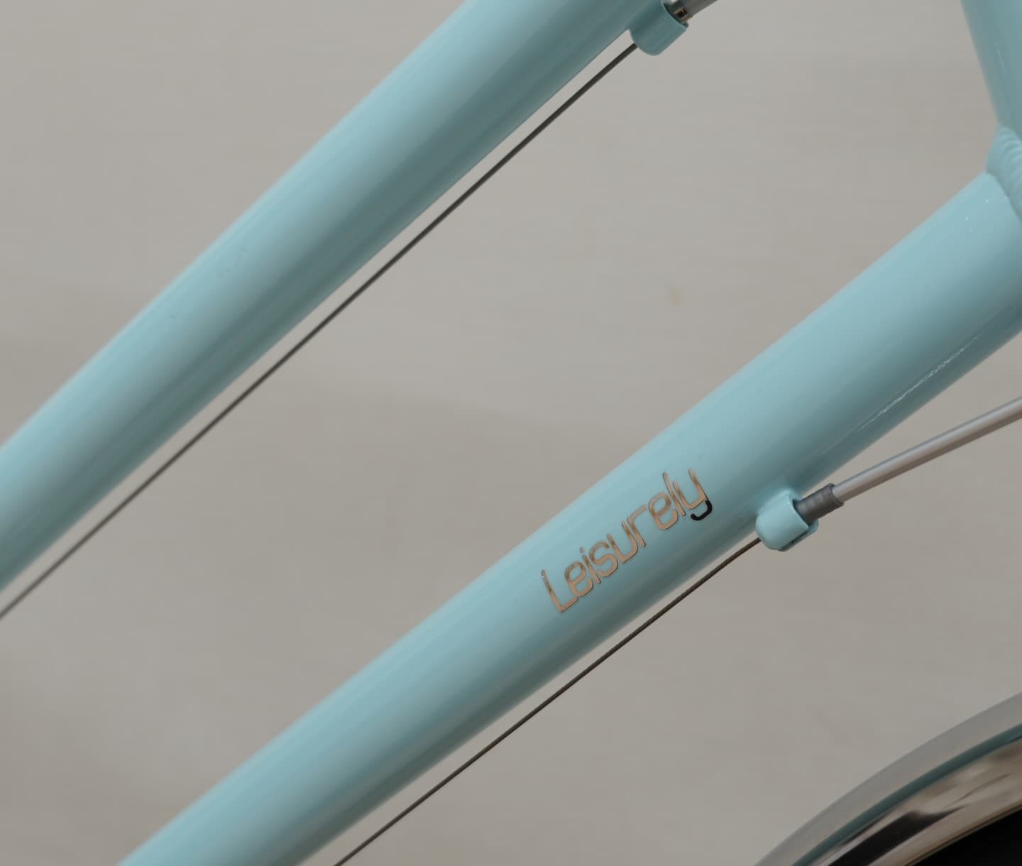 Schecter leisurely サブ画像2