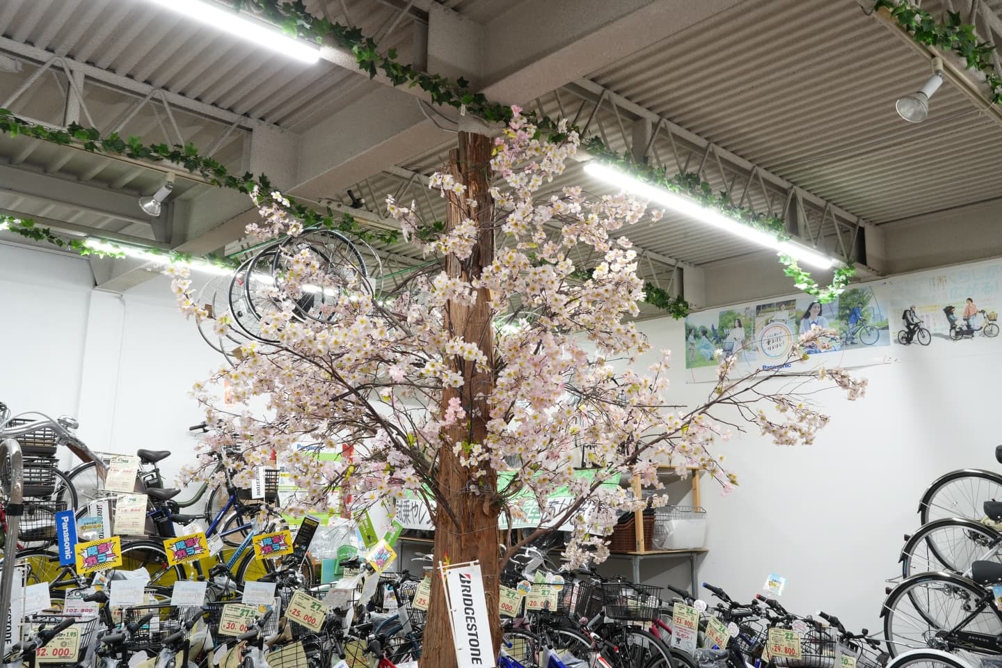 新生活の自転車、いわいへ