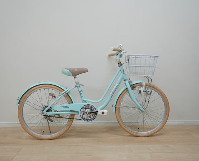 モアナジュニア メイン画像